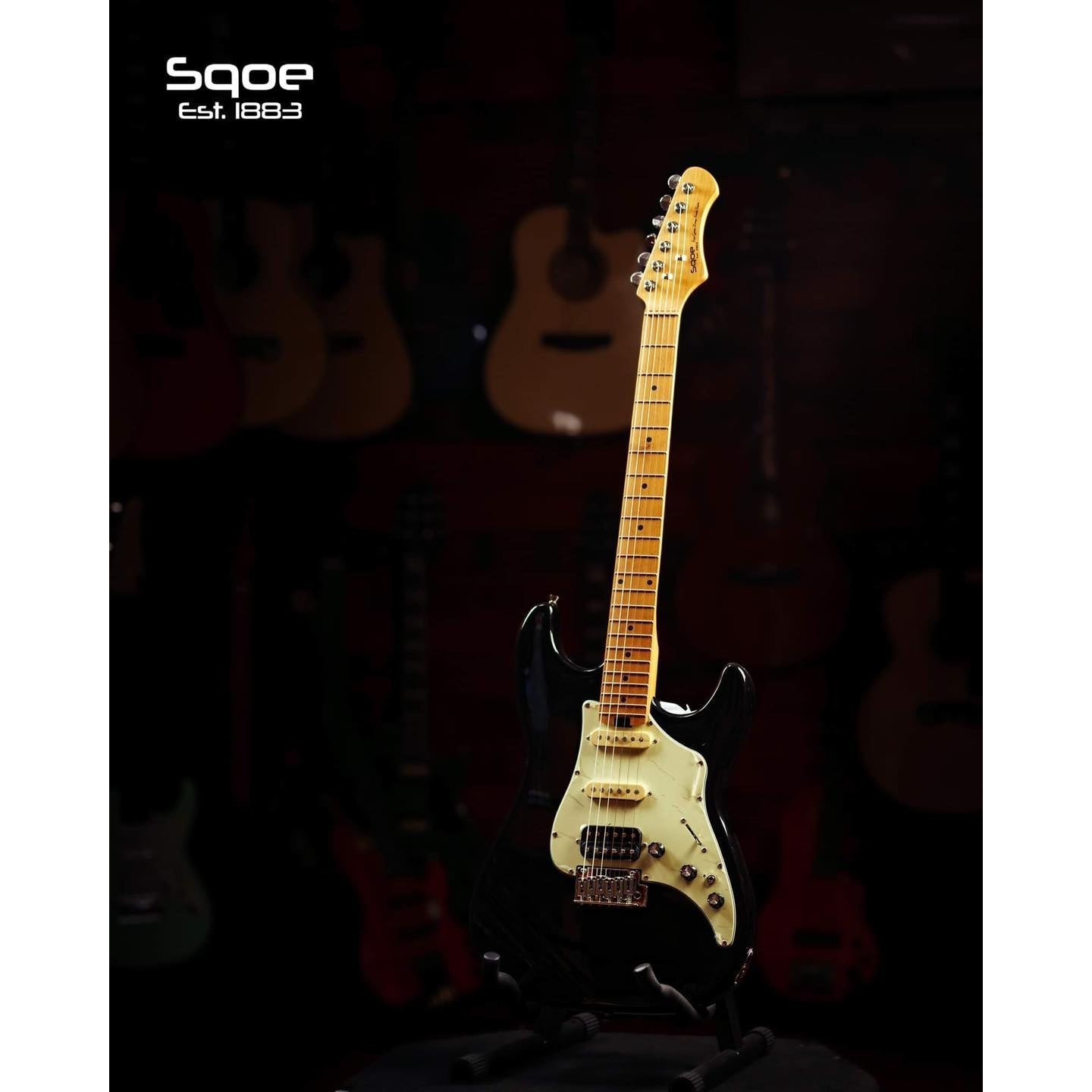 Đàn Guitar Điện Sqoe SEST800 - Việt Music