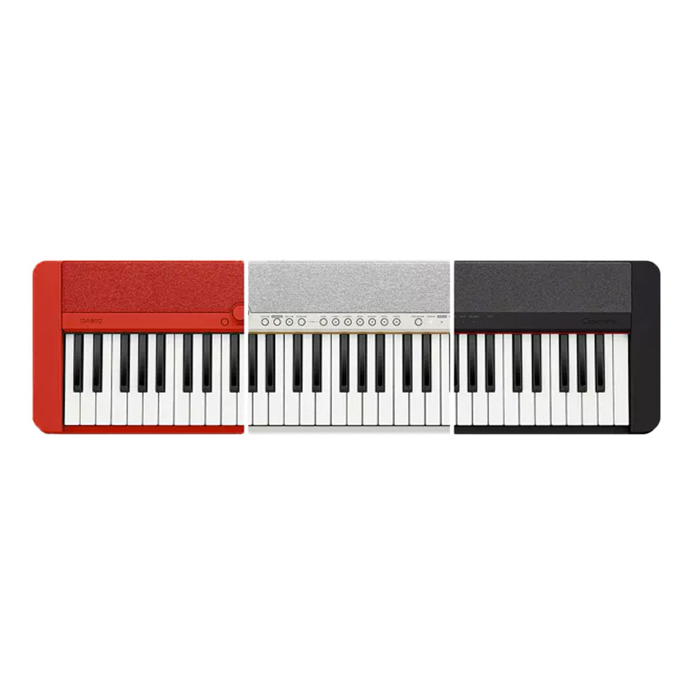 Organ & Keyboard Casio