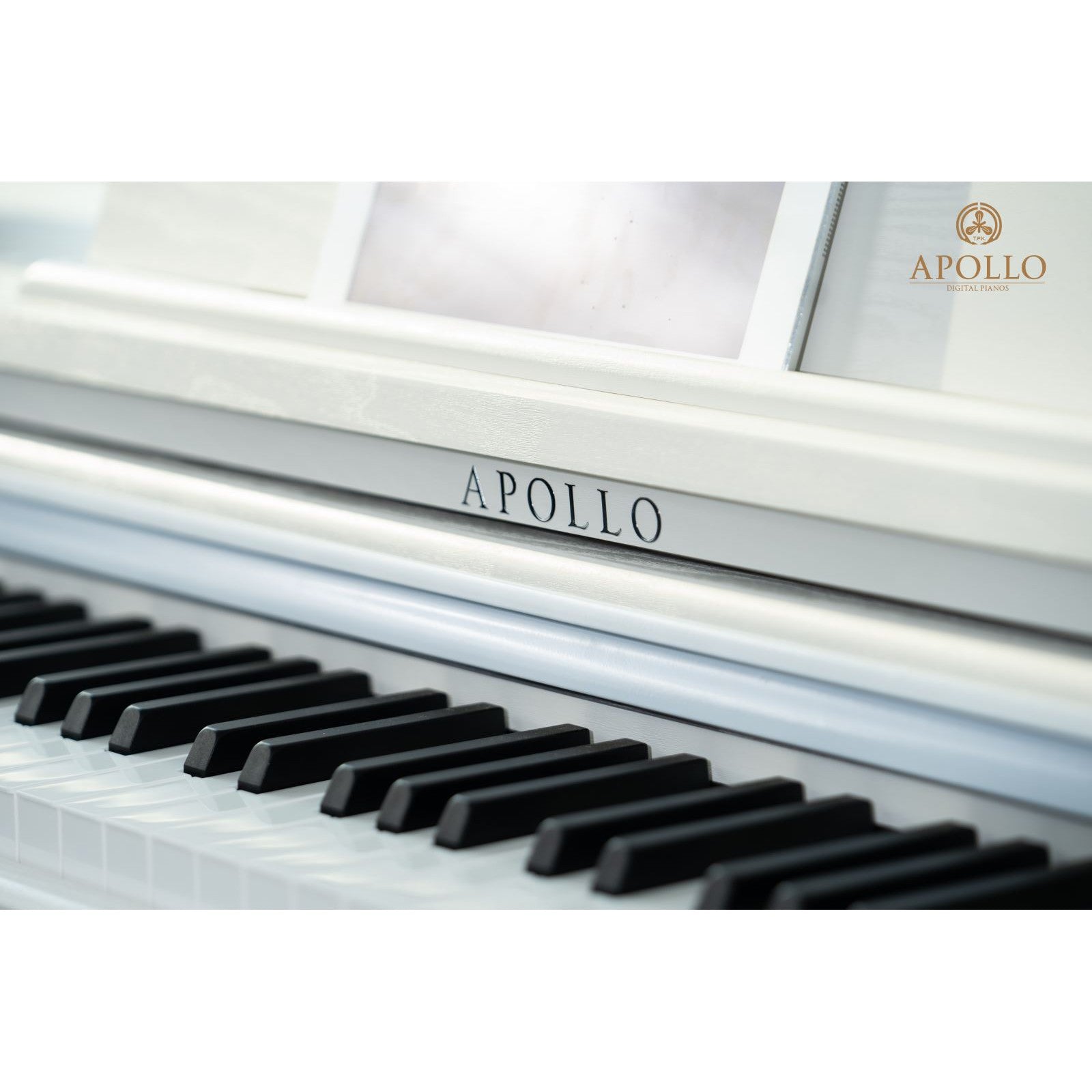 Đàn Piano Điện Apollo DP-66 - Việt Music