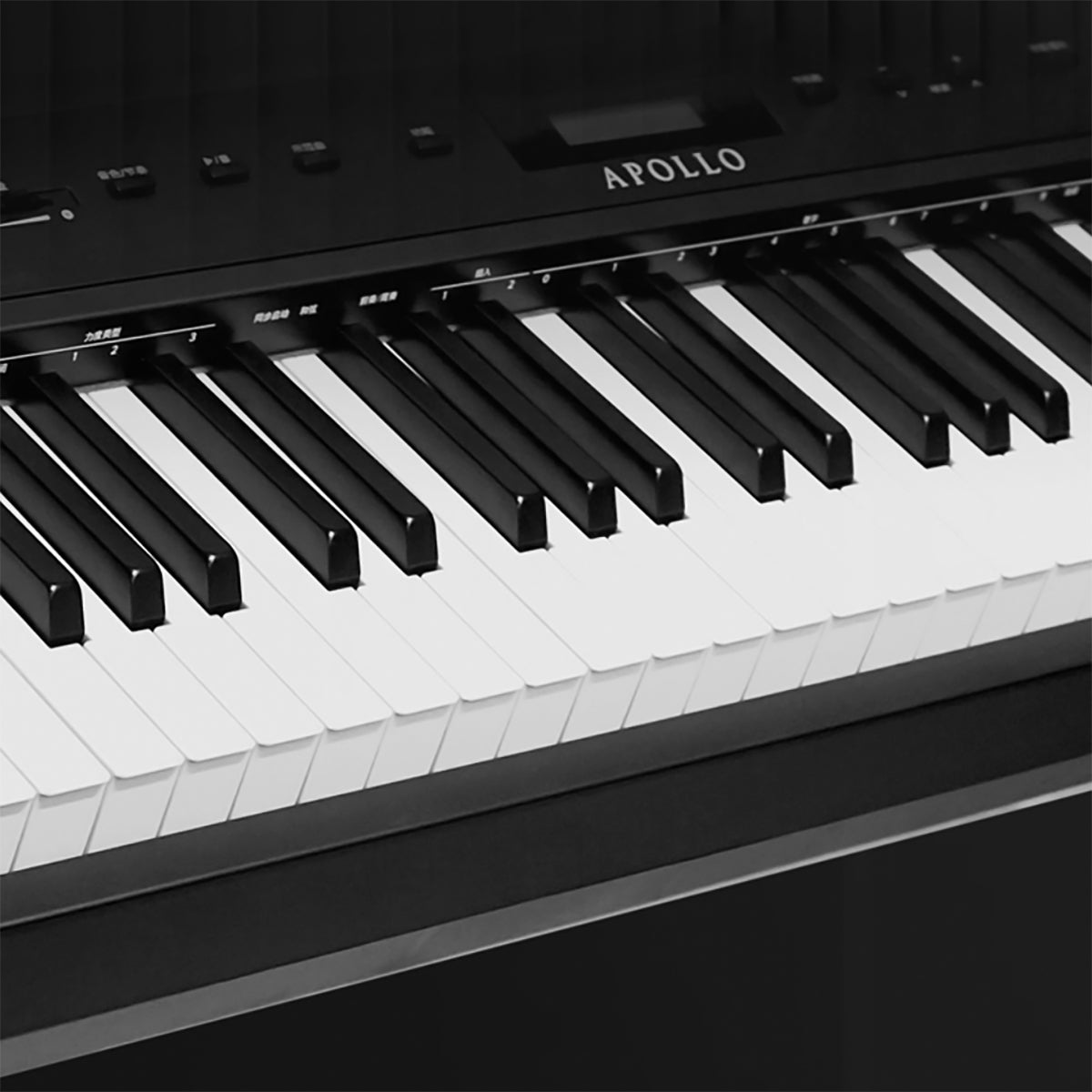 Đàn Piano Điện Apollo EP-130 - Việt Music