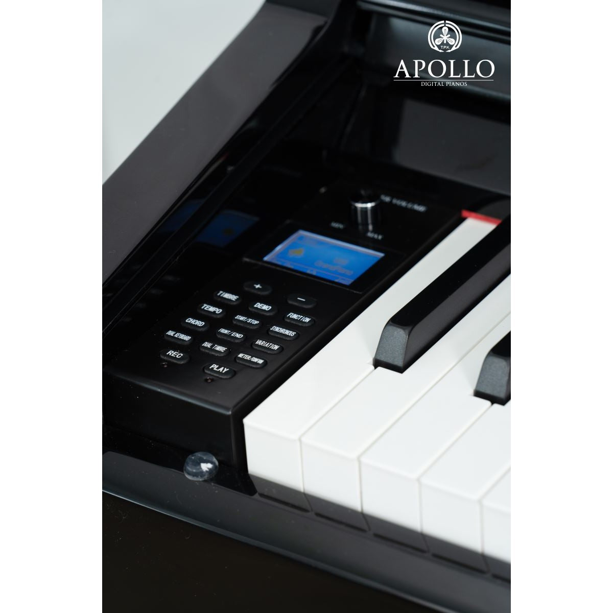 Đàn Piano Điện Apollo KP-88 - Việt Music