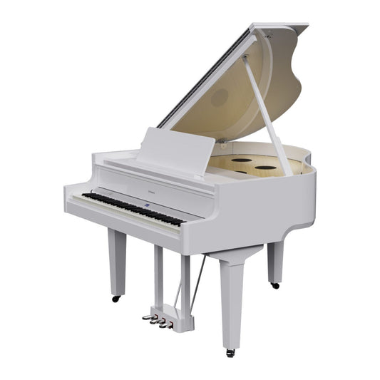 Đàn Piano Điện Roland GP-9 - Việt Music