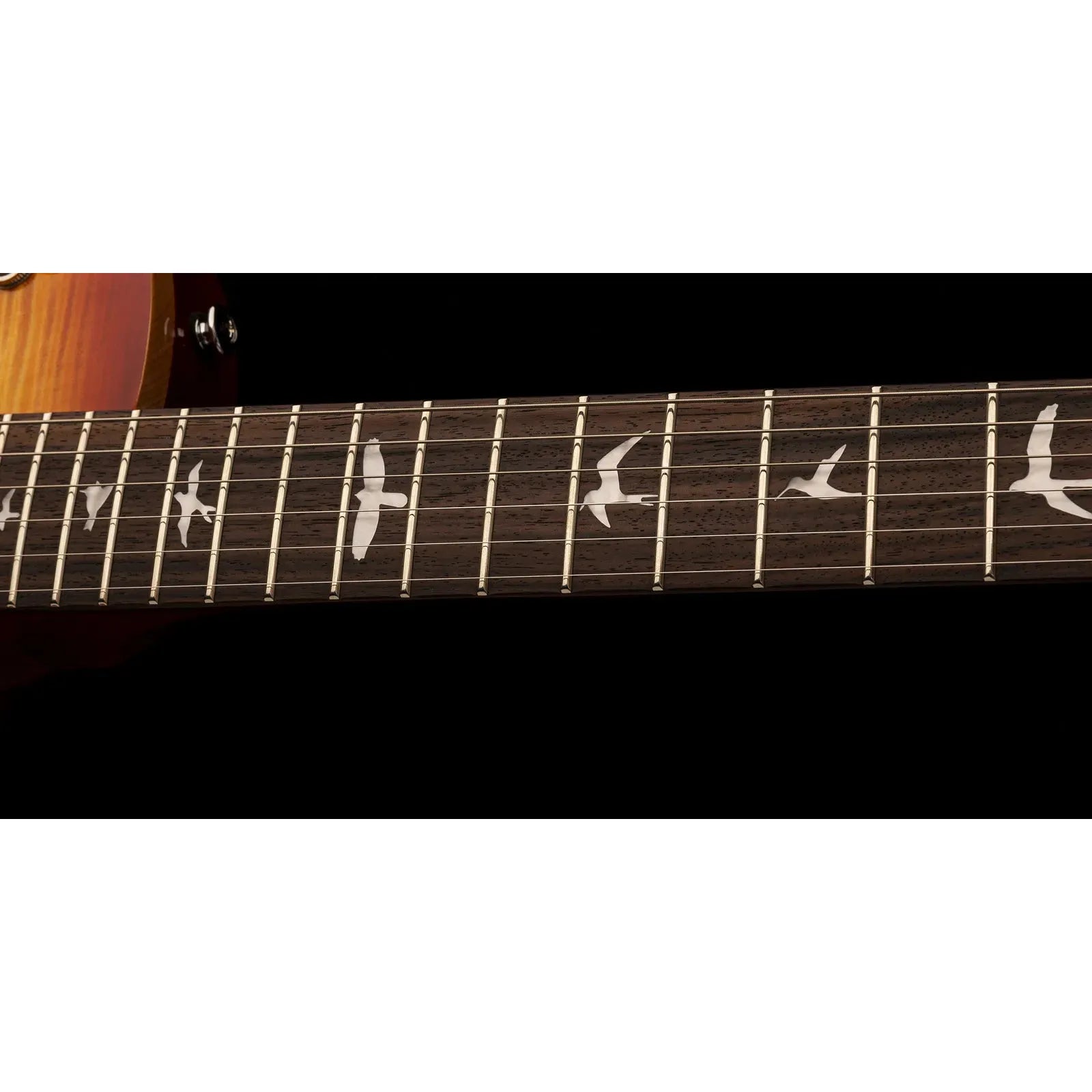 Đàn Guitar Điện PRS SE 245 HH, Rosewood Fingerboard - Việt Music