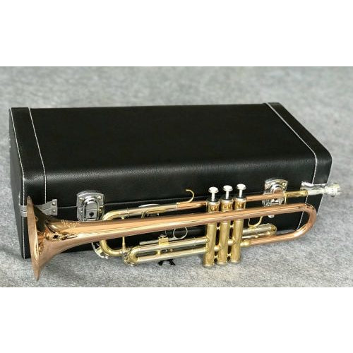 Kèn Trumpet Amati ATR-311 - Việt Music