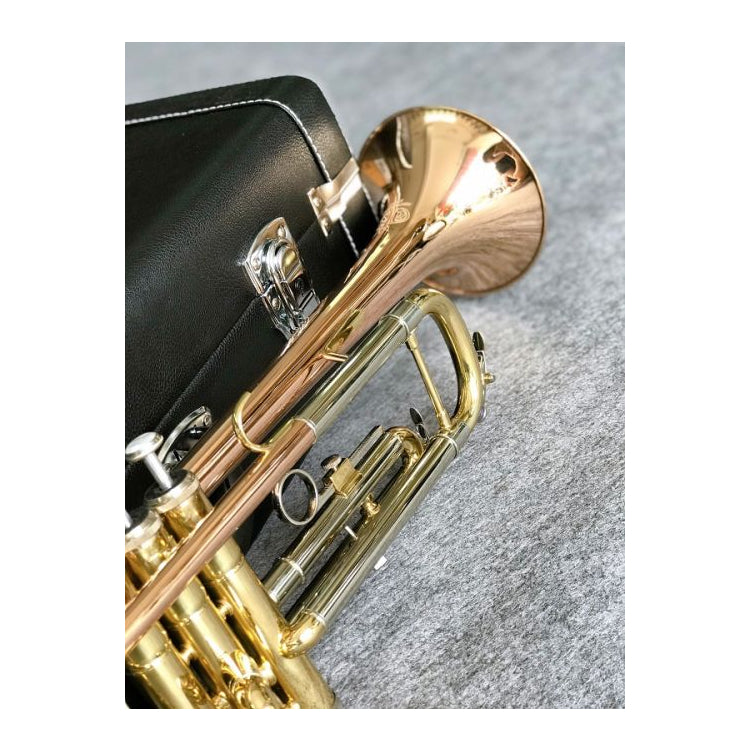 Kèn Trumpet Amati ATR-311 - Việt Music