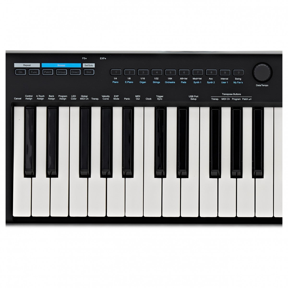 Midi Keyboard Controller Nektar Impact GXP49 - Việt Music