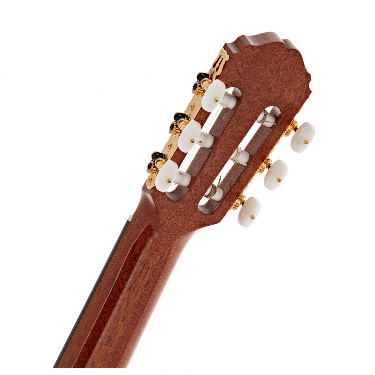 Đàn Guitar Classic Takamine TH8SS - Việt Music