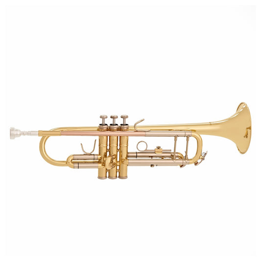 Kèn Trumpet TR-650 Logo Selmer - Việt Music