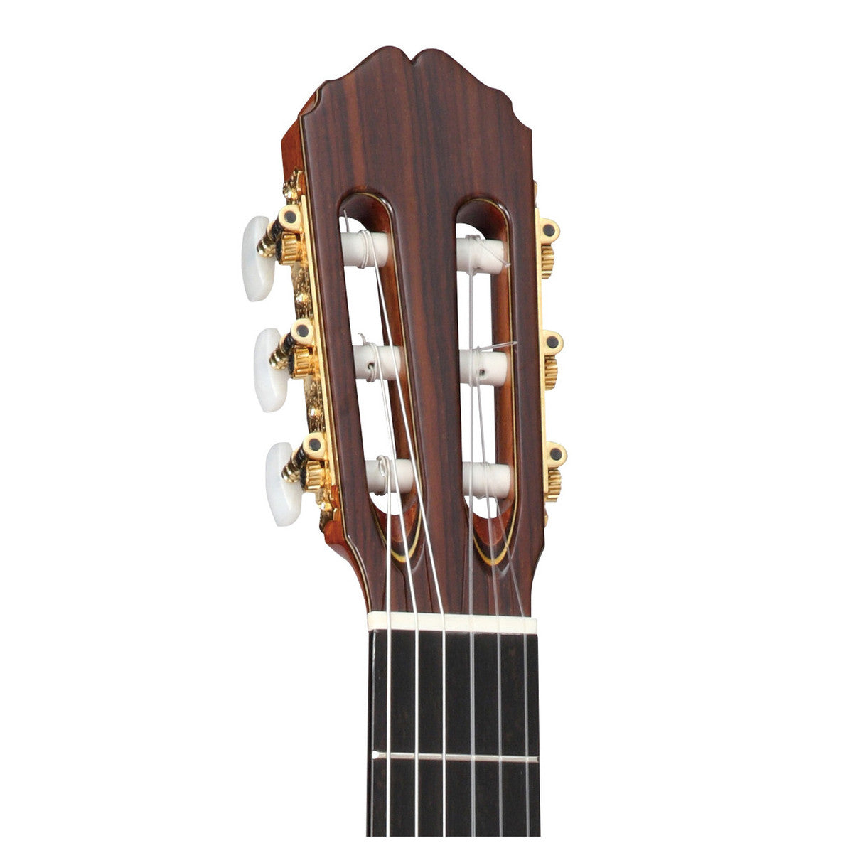 Đàn Guitar Classic Takamine H5 - Việt Music