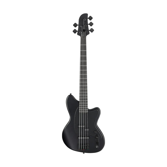 Đàn Guitar Bass Ibanez TMB425B SS, Ebonol Fingerboard - 5 Strings