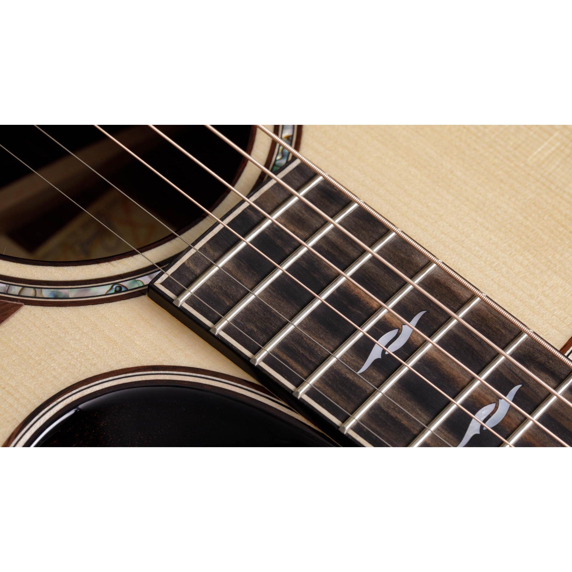 Đàn Guitar Acoustic Taylor 814CE Builder's Edition - Grand Auditorium - Việt Music