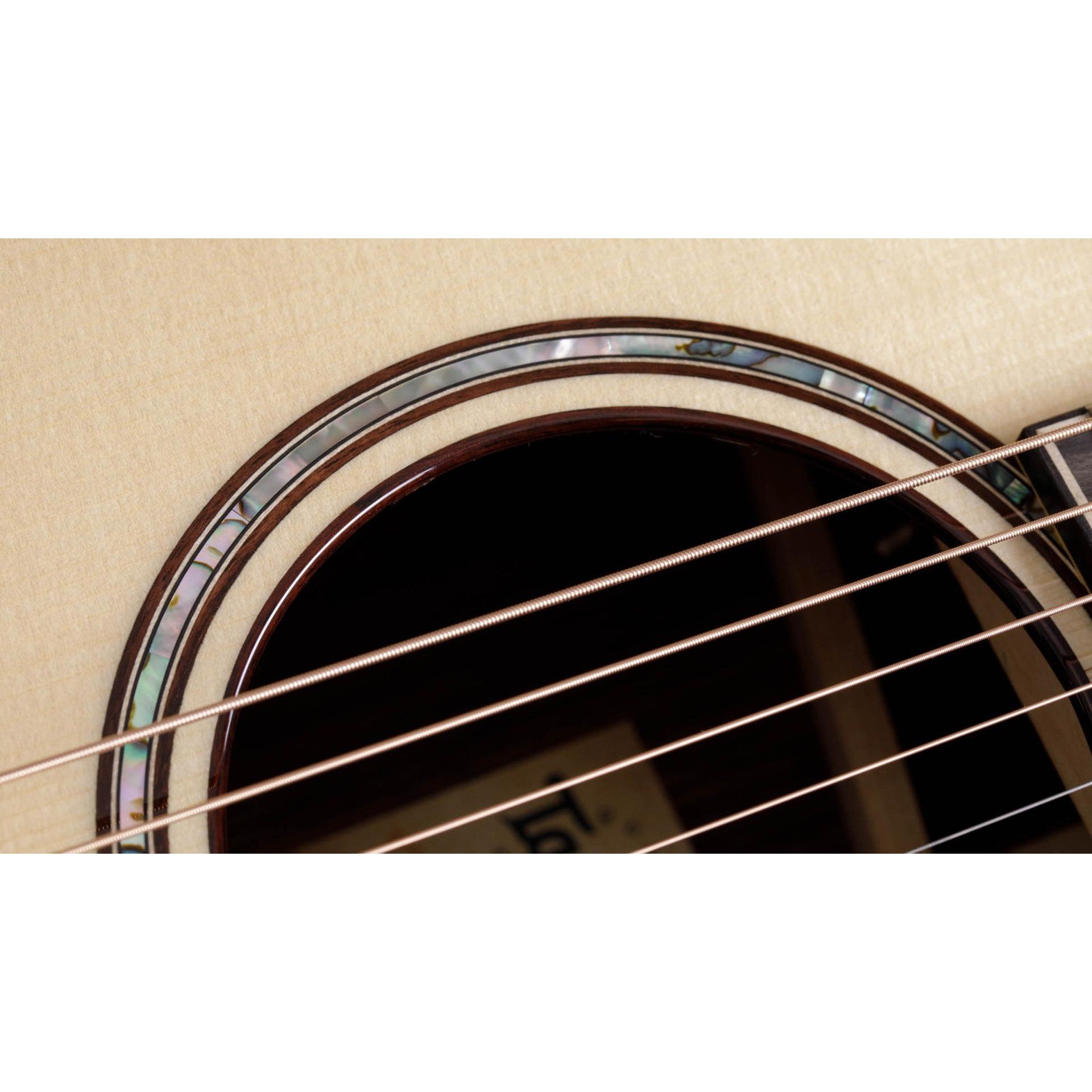 Đàn Guitar Acoustic Taylor 814CE Builder's Edition - Grand Auditorium - Việt Music