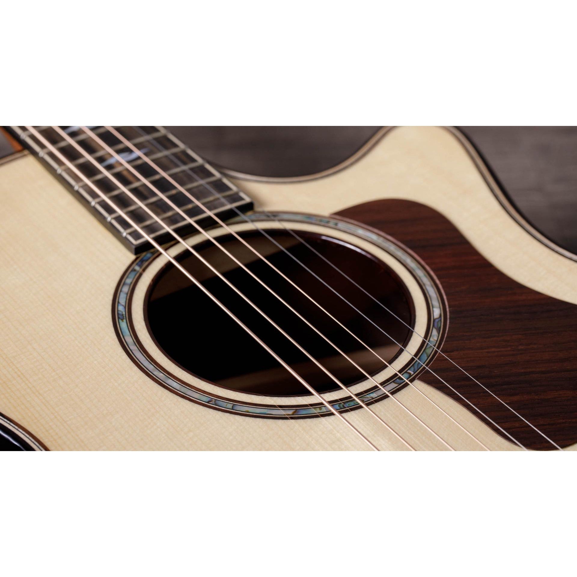 Đàn Guitar Acoustic Taylor 814CE Builder's Edition - Grand Auditorium - Việt Music
