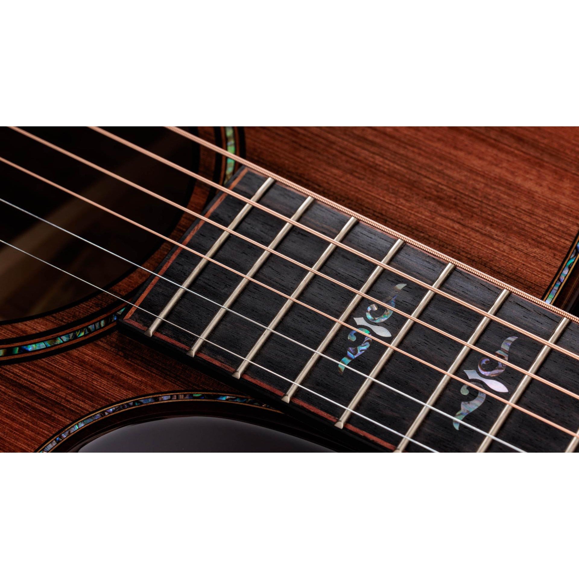 Đàn Guitar Acoustic Taylor 914CE Builder's Edition Honduran Rosewood - Grand Auditorium - Việt Music