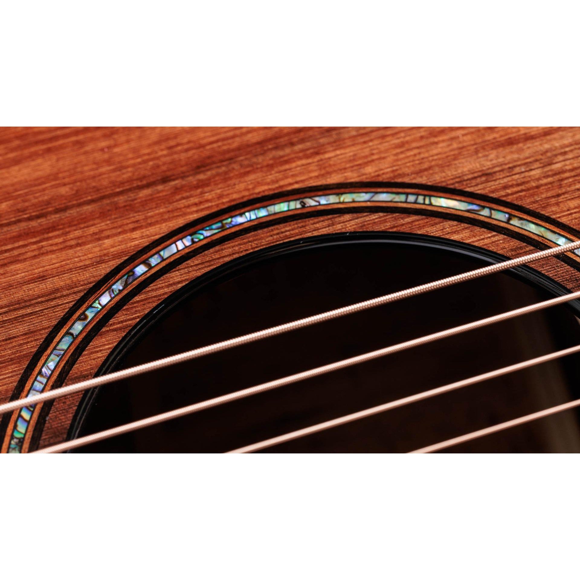 Đàn Guitar Acoustic Taylor 914CE Builder's Edition Honduran Rosewood - Grand Auditorium - Việt Music