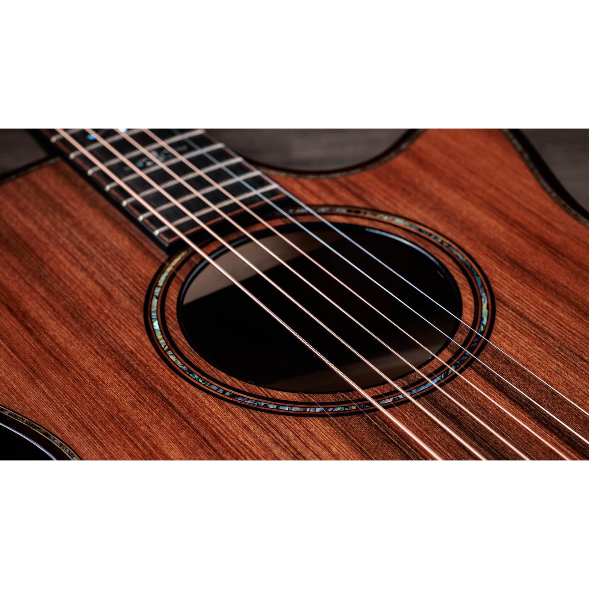 Đàn Guitar Acoustic Taylor 914CE Builder's Edition Honduran Rosewood - Grand Auditorium - Việt Music