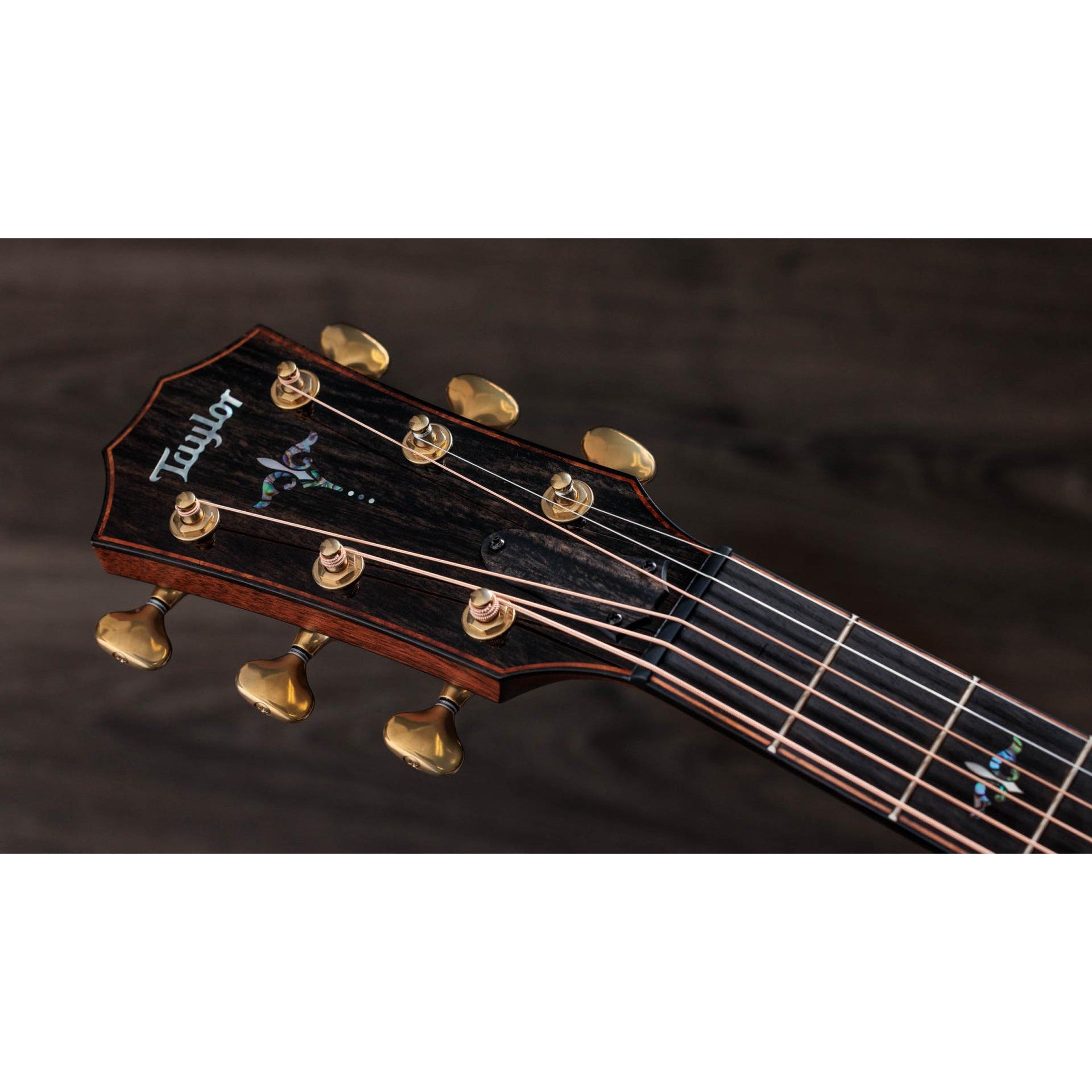 Đàn Guitar Acoustic Taylor 914CE Builder's Edition Honduran Rosewood - Grand Auditorium - Việt Music
