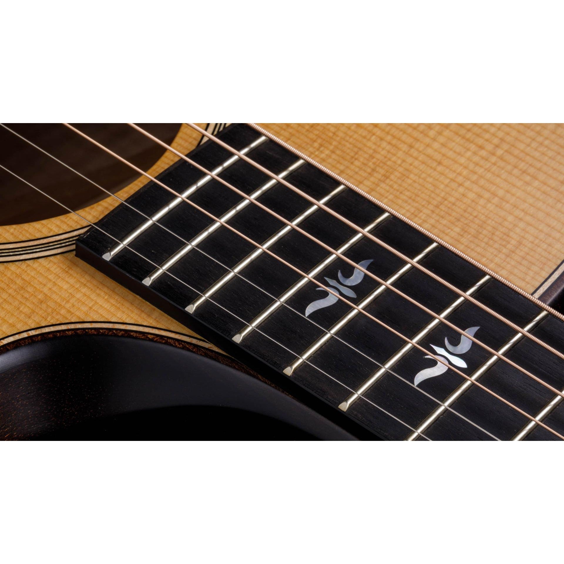Đàn Guitar Acoustic Taylor 614CE Builder's Edition - Grand Auditorium - Việt Music