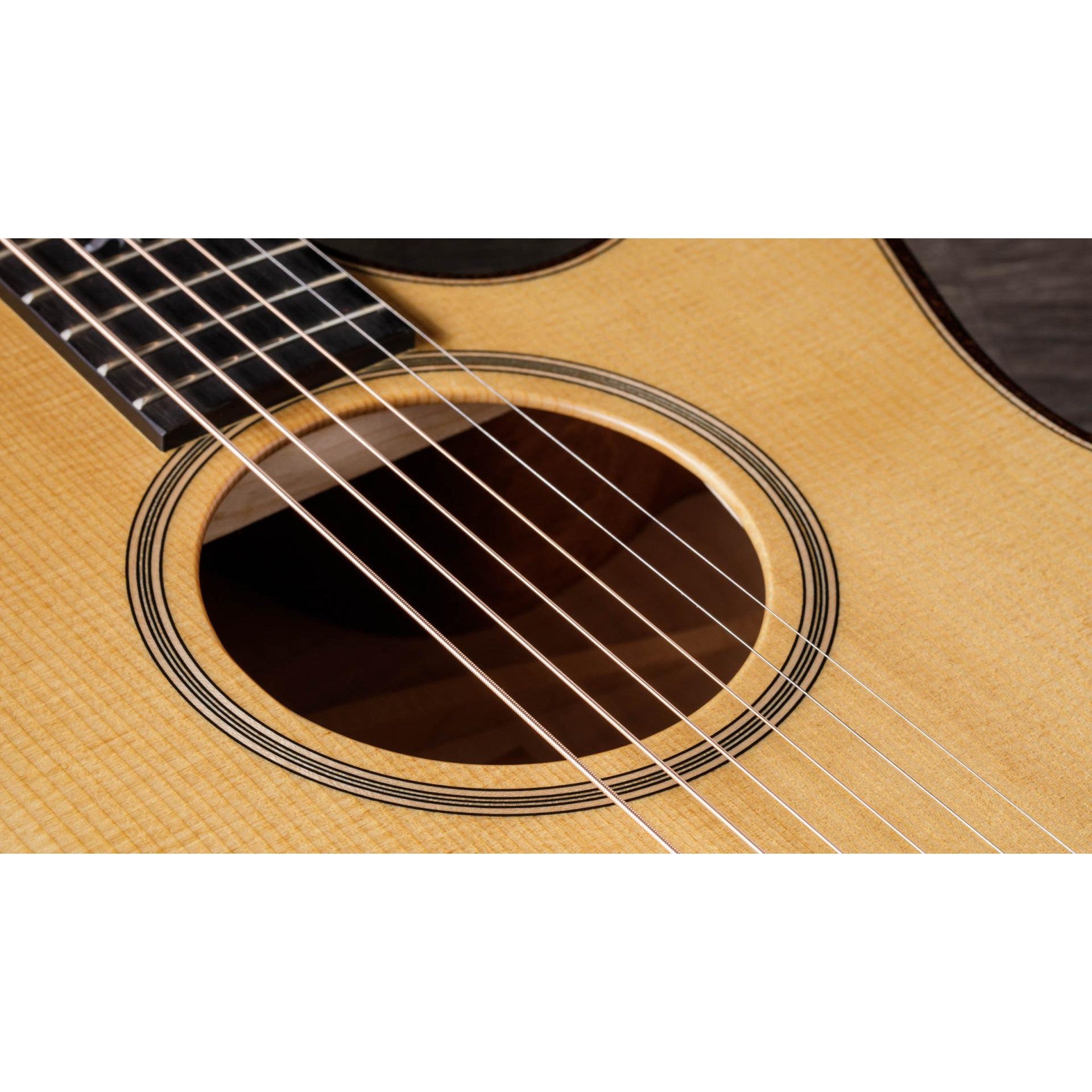 Đàn Guitar Acoustic Taylor 614CE Builder's Edition - Grand Auditorium - Việt Music