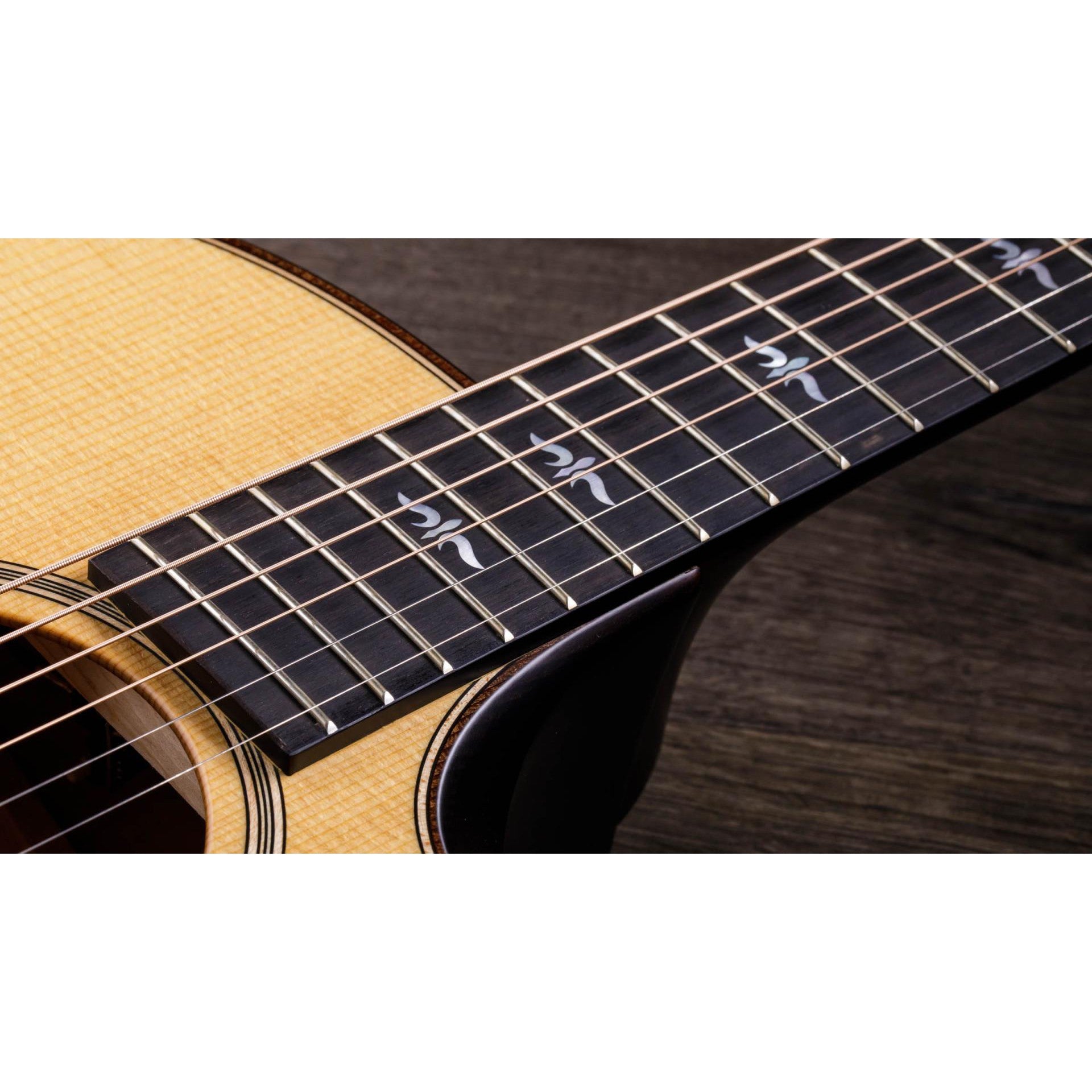 Đàn Guitar Acoustic Taylor 614CE Builder's Edition - Grand Auditorium - Việt Music