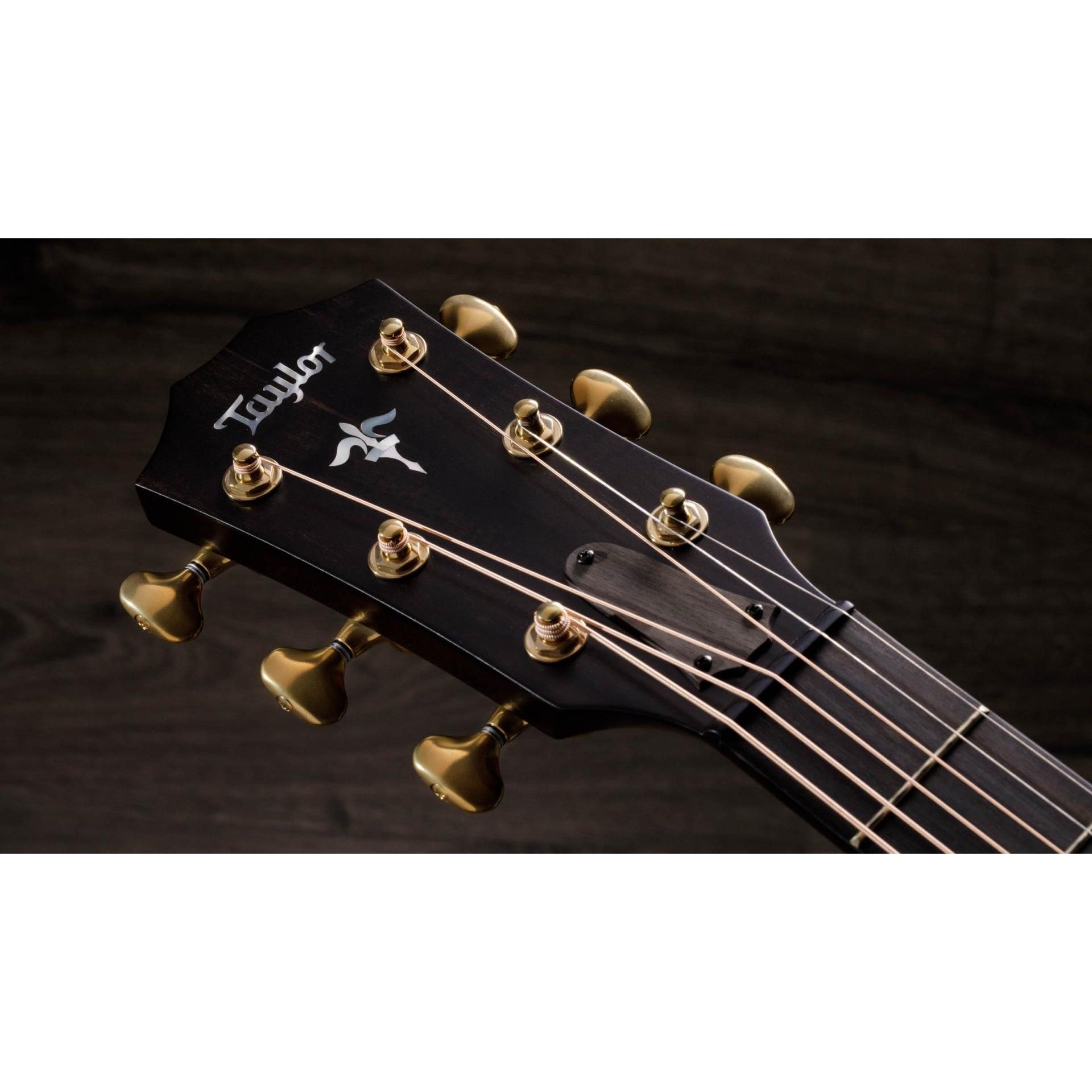 Đàn Guitar Acoustic Taylor 614CE Builder's Edition - Grand Auditorium - Việt Music