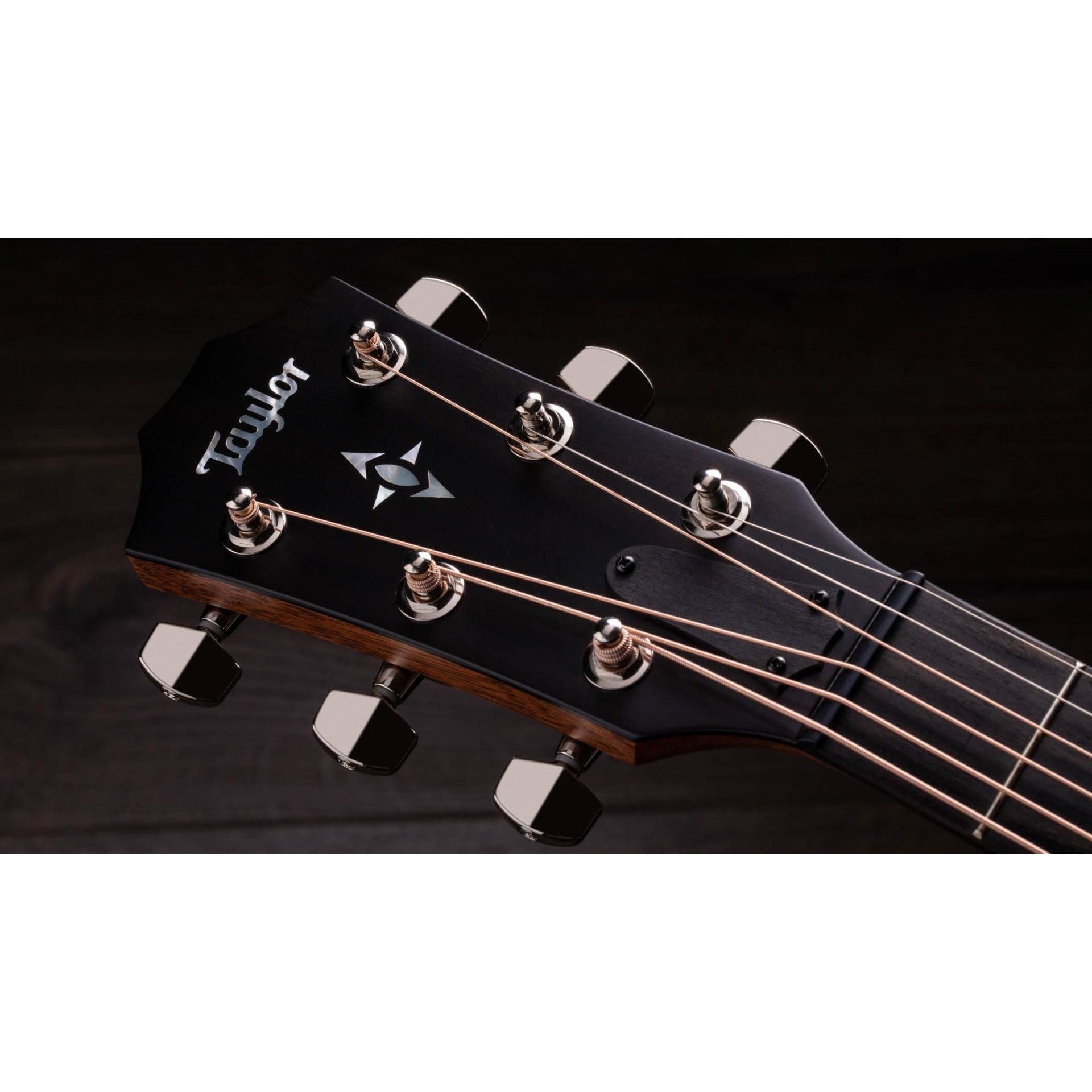 Đàn Guitar Acoustic Taylor 717E WHB Builder's Edition - Grand Pacific - Việt Music