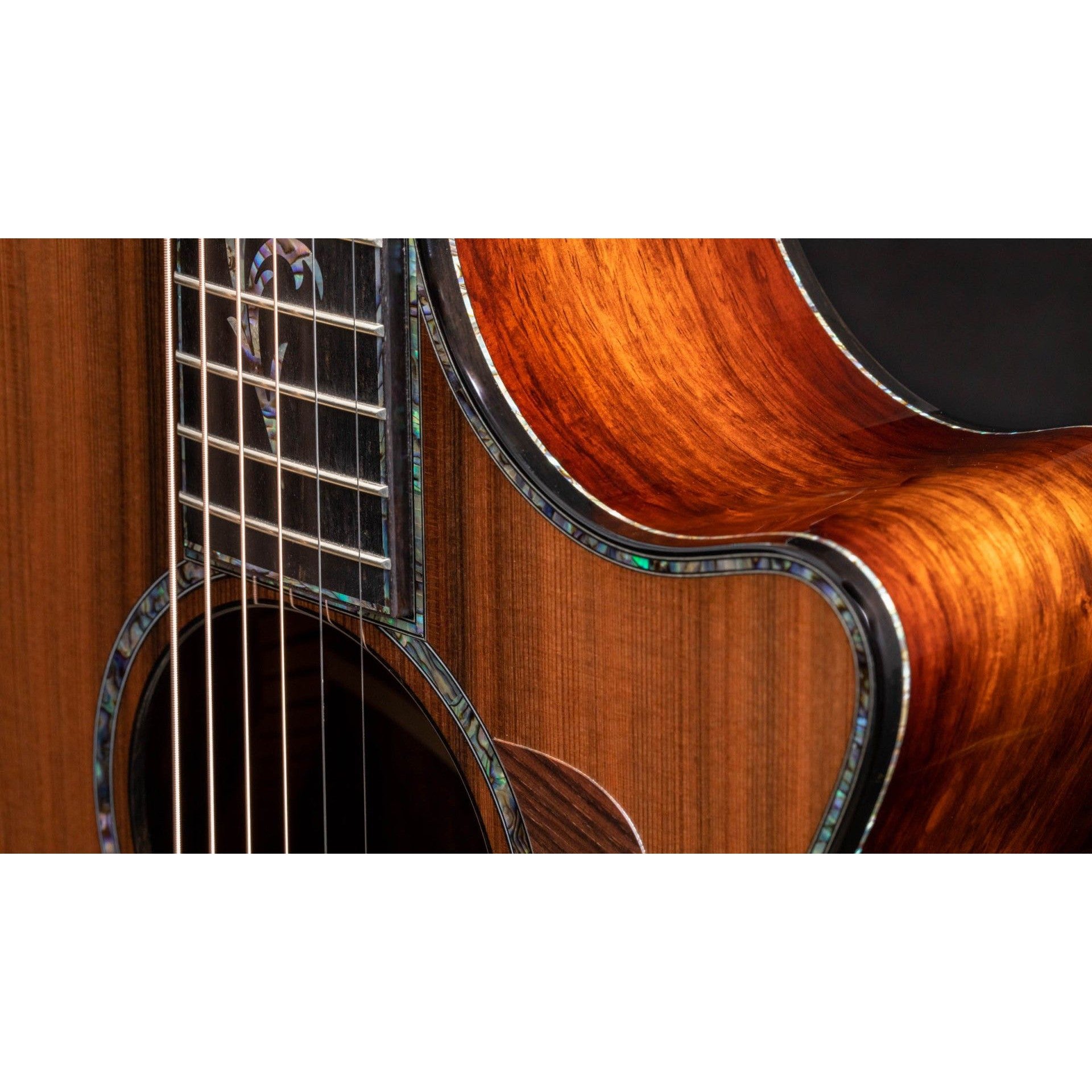 Đàn Guitar Acoustic Taylor PS12CE 12-FRET Honduran Rosewood - Grand Concert - Việt Music