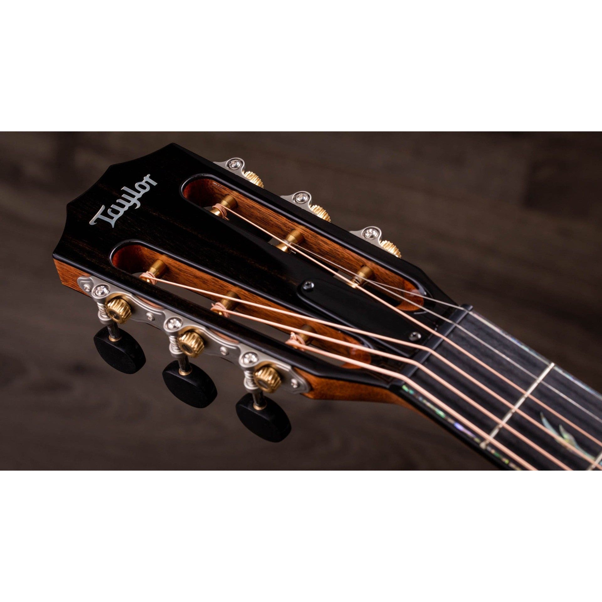 Đàn Guitar Acoustic Taylor PS12CE 12-FRET Honduran Rosewood - Grand Concert - Việt Music