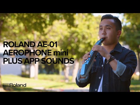 Kèn Điện Roland Aerophone AE-01 (Mini)