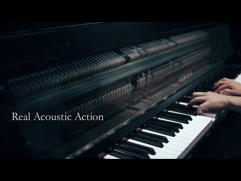 Đàn Piano Hybrid Digital Yamaha NU1X AvantGrand - Qua Sử Dụng