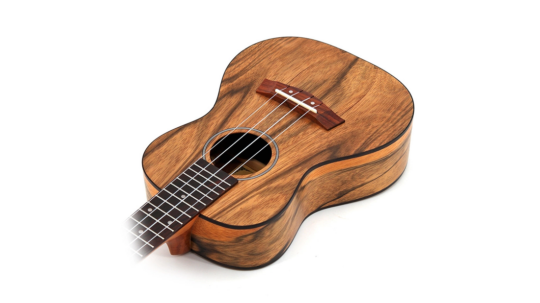 Các Chơi Bài Ukulele Biển Tình