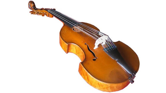 16 Sự Thật Thú Vị Về Đàn Viola