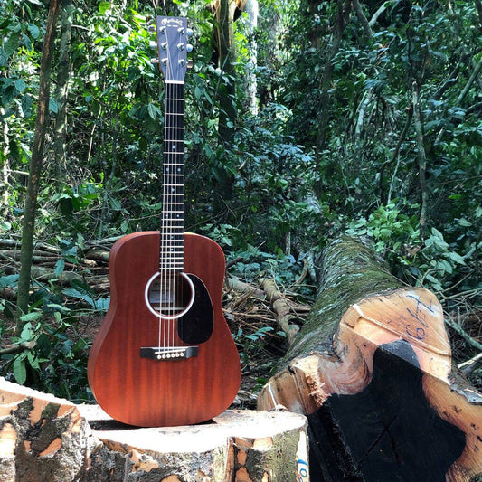 FSC Và Martin Guitar Bảo Vệ Rừng