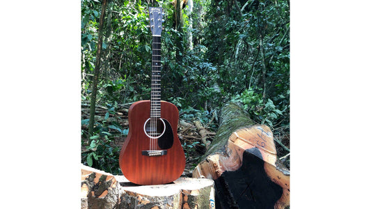 FSC Và Martin Guitar Bảo Vệ Rừng