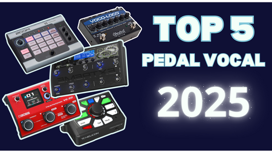 Top 5 Pedal Vocal Tốt Nhất Trong Phòng Thu Và Sân Khấu