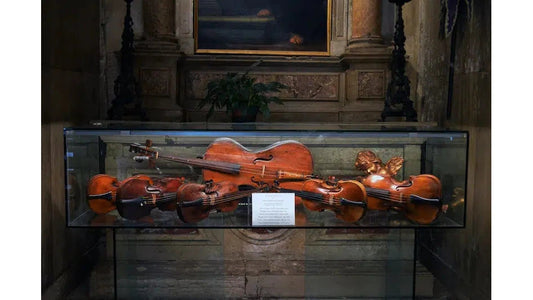 Một Cây Đàn Violin Có Giá Bao Nhiêu?