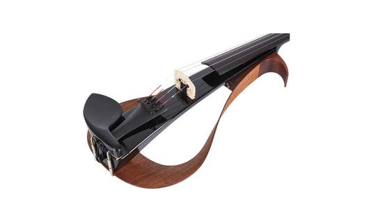 Một Số Điều Cần Biết Về Violin Silent