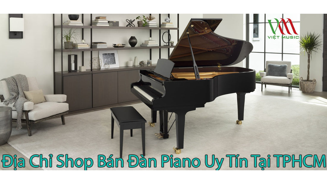 Địa Chỉ Shop Bán Đàn Piano Uy Tín Tại TPHCM