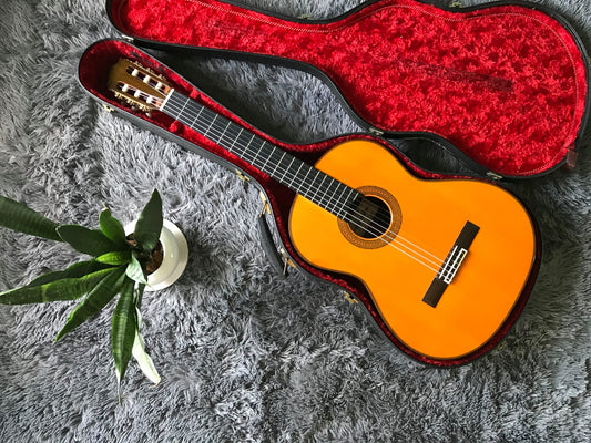 Tìm Hiểu Về Thương Hiệu Đàn Guitar Matsuoka