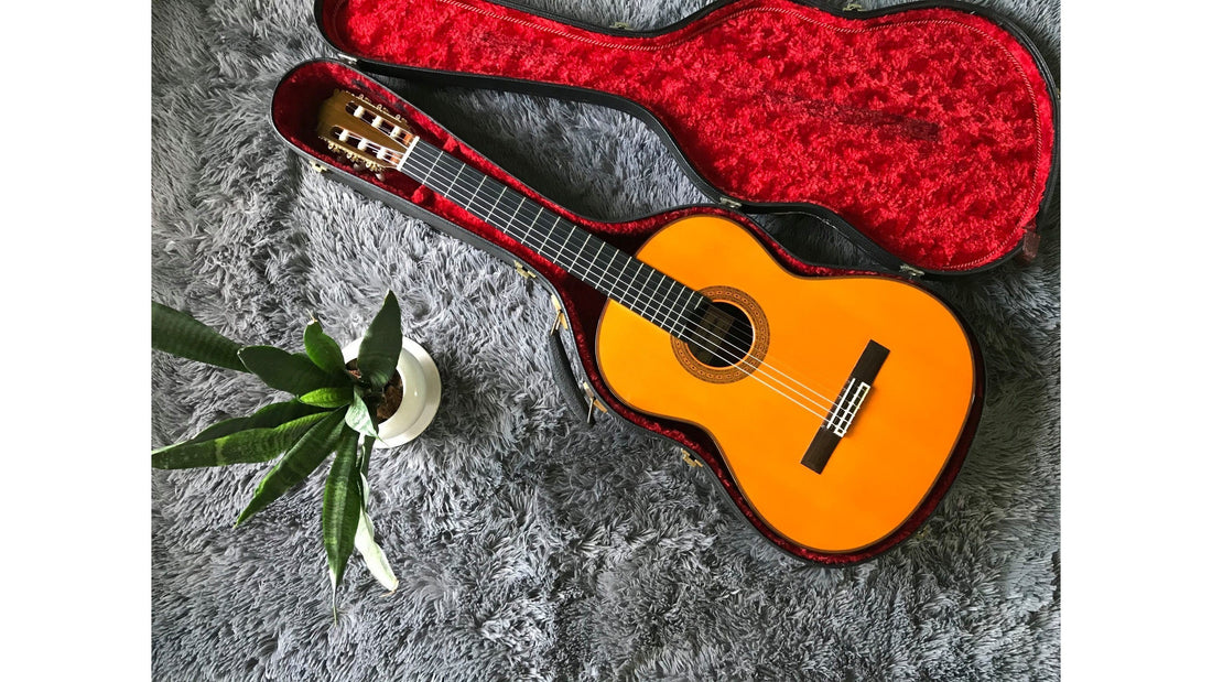 Tìm Hiểu Về Thương Hiệu Đàn Guitar Matsuoka