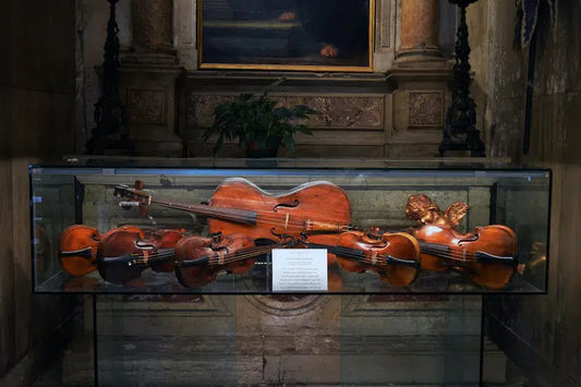 Một Cây Đàn Violin Có Giá Bao Nhiêu?