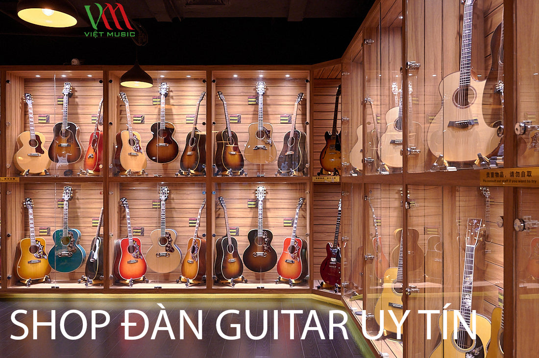 Trải Nghiệm 1 Ngày Đầy Thú Vị Tại Shop Đàn Guitar Việt Music - TPHCM