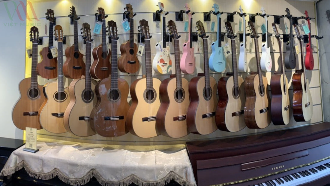 Địa Chỉ Shop Bán Đàn Ukulele Uy Tín Ở TPHCM