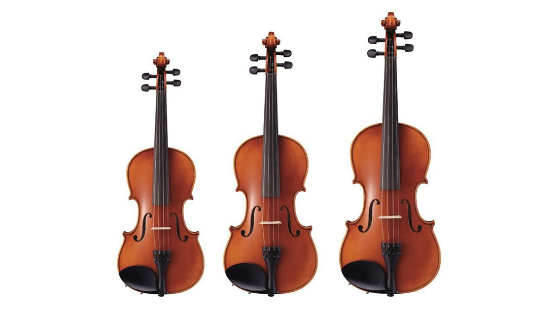 Lựa Chọn Kích Cỡ Violin Phù Hợp