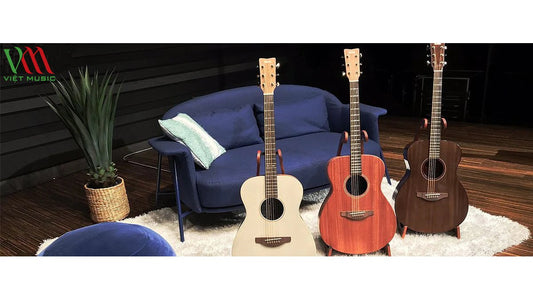 Địa Điểm Shop Đàn Guitar Uy Tín Tại Quận Tân Bình - TP HCM