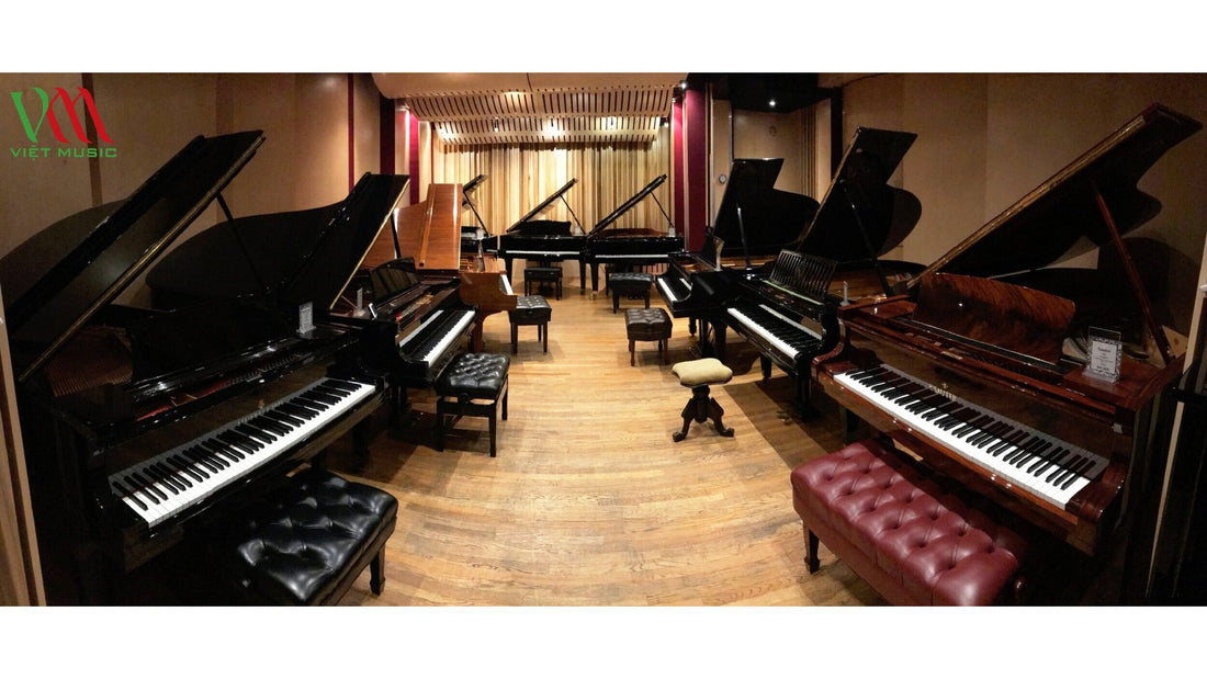 Cửa Hàng Bán Đàn Piano Giá Tốt Nhất Tại TPHCM