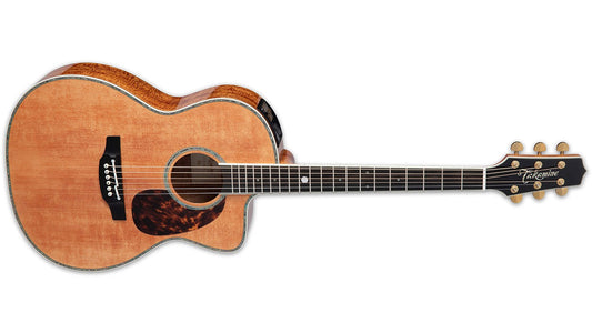 Đàn Guitar Takamine LTD2022