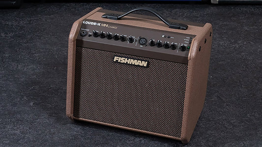 Amplifier Fishman Loudbox Mini Charge dành cho Acoustic Guitar tích hợp cổng Micro