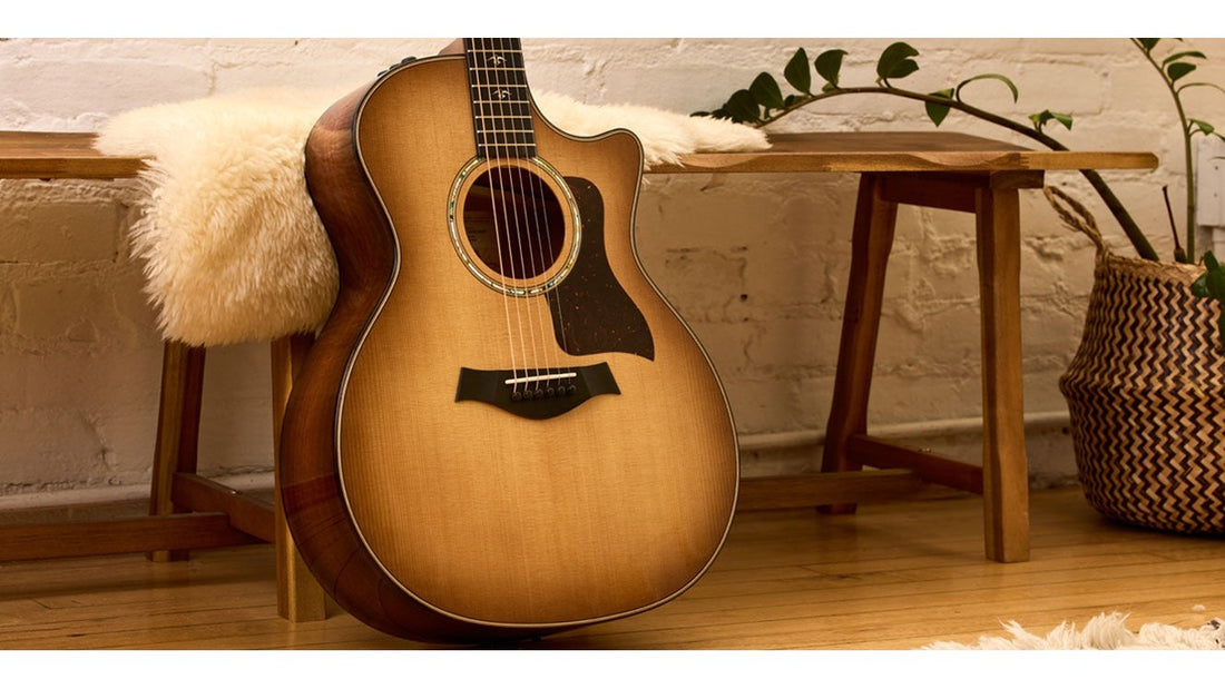 Tonewood Độc Đáo Của Taylor 500 Series