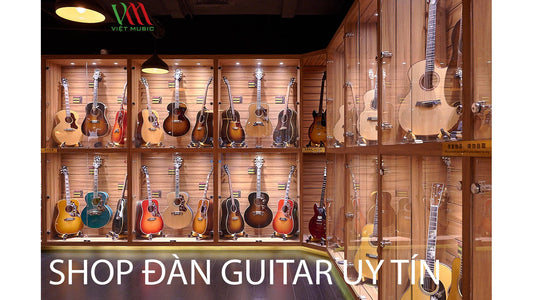 Trải Nghiệm 1 Ngày Đầy Thú Vị Tại Shop Đàn Guitar Việt Music - TPHCM